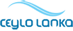 Awesome Footer Logo