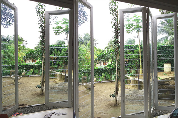 Archi Udayanga 2